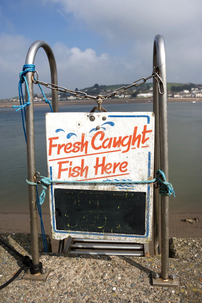 Sign displaying 'Fresh Caught Fish Here' by the shore in Appledore, England.