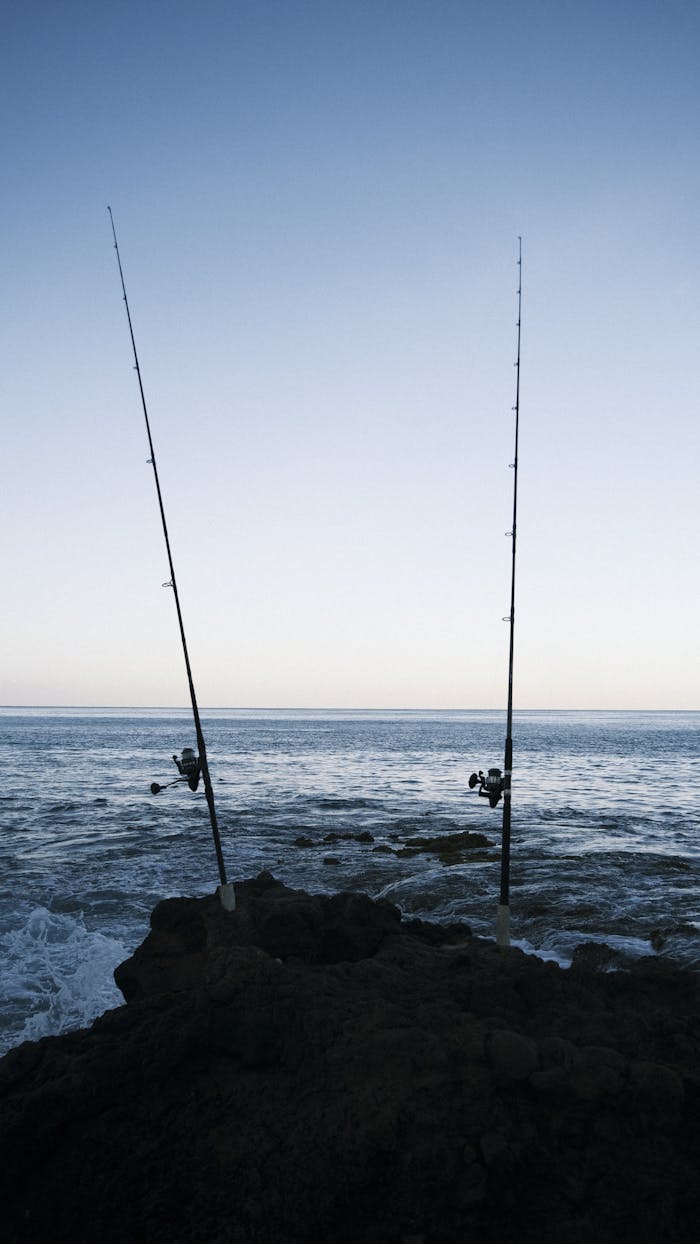Two fishing rods stand on a rocky shoreline against a tranquil sea backdrop.